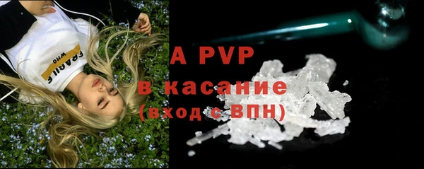 дживик Пересвет