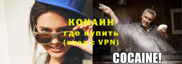 дживик Пересвет
