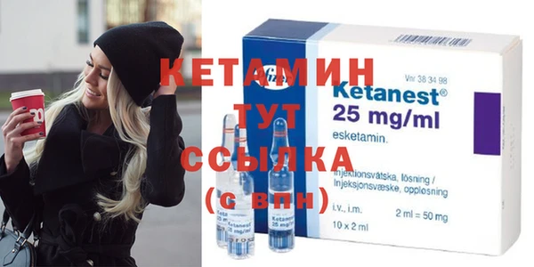 дживик Пересвет