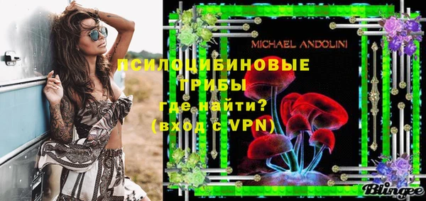 дживик Пересвет