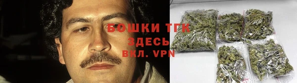 дживик Пестово