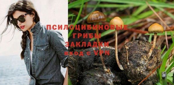 дживик Пестово