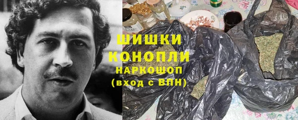 дживик Пестово