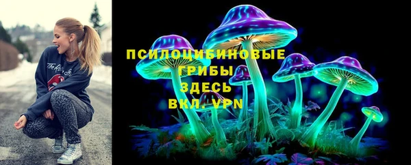 дживик Пестово