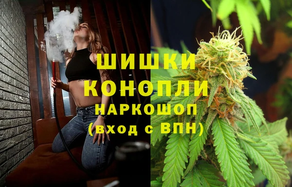 дживик Пестово