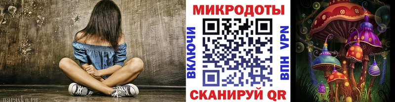 Псилоцибиновые грибы Psilocybe  Бабаево 